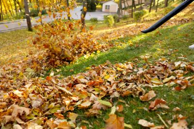 Clear Your Lawn of Fallen Leaves!