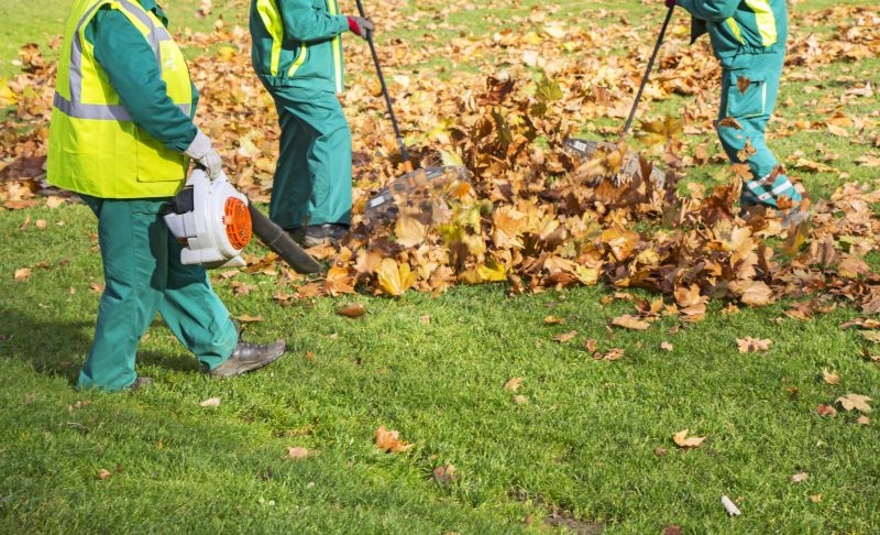 Contact About Leaf Blowing Services