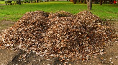 Blow Leaves to One Location without Much Physical Labor!