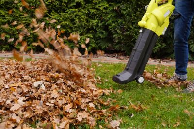 Get Professional Leaf Blowing Service!