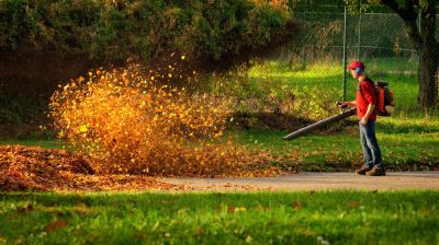 Leaf Blowing is Quicker and Easier Than Leaf Blowing Service!