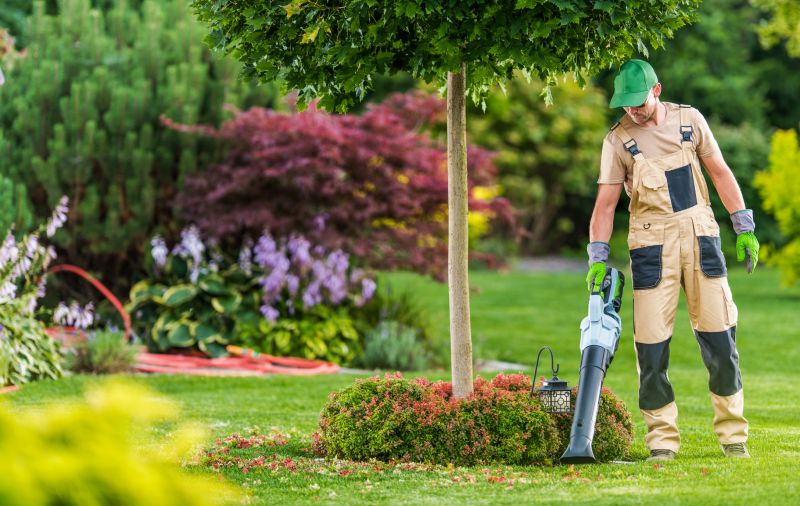 Leaf Blowing Services