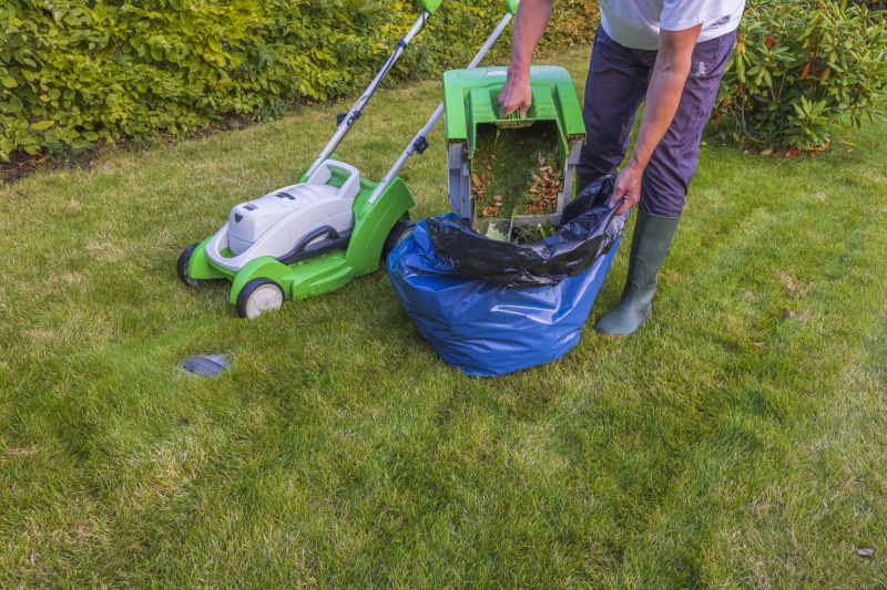 Lawn Care Specialist Performing Cleanup