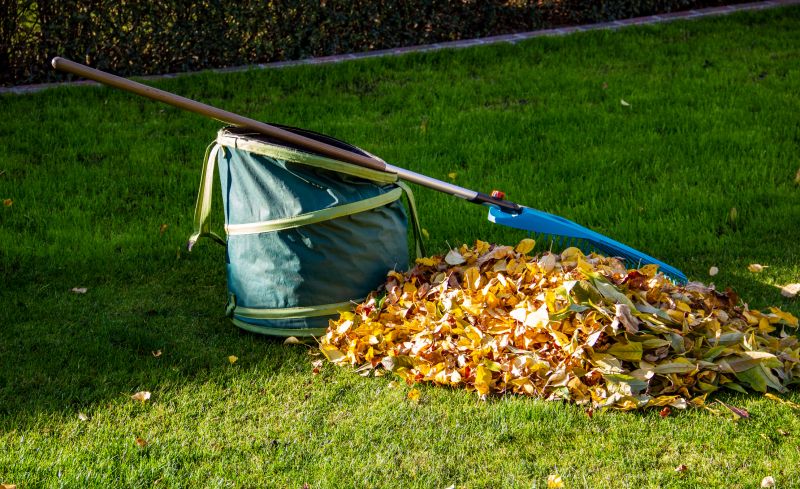 Leaf Collection Solutions