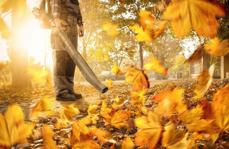 Leaf Blowing Service Costs — Cost of Leaf Blowing Services