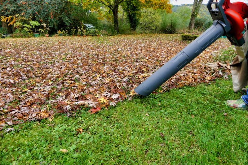 Leaf Blowing Service Costs — Cost of Leaf Blowing Services