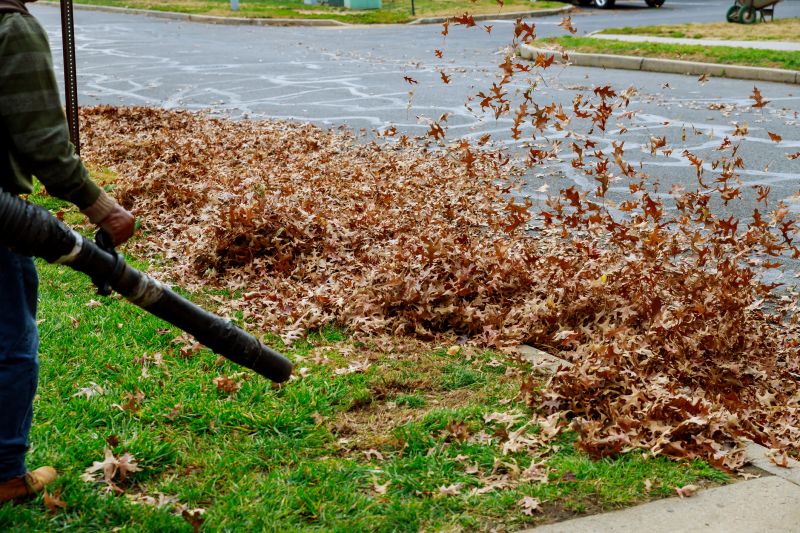 Leaf Blowing Service Costs — Cost of Leaf Blowing Services