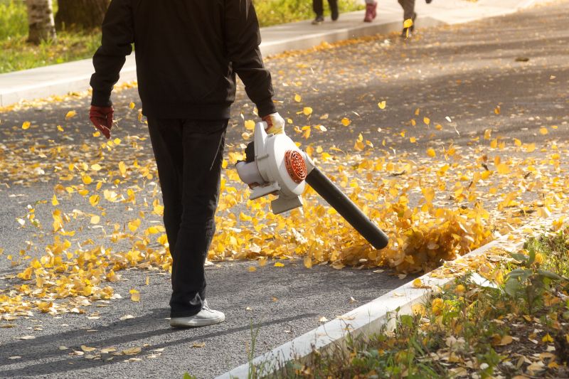 Efficient Leaf Removal