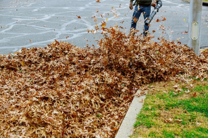 Leaf Blowing Services