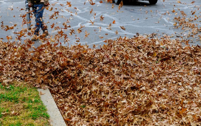 Leaf Blowing Services