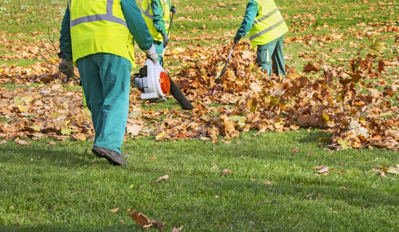 Leaf Blowing Services