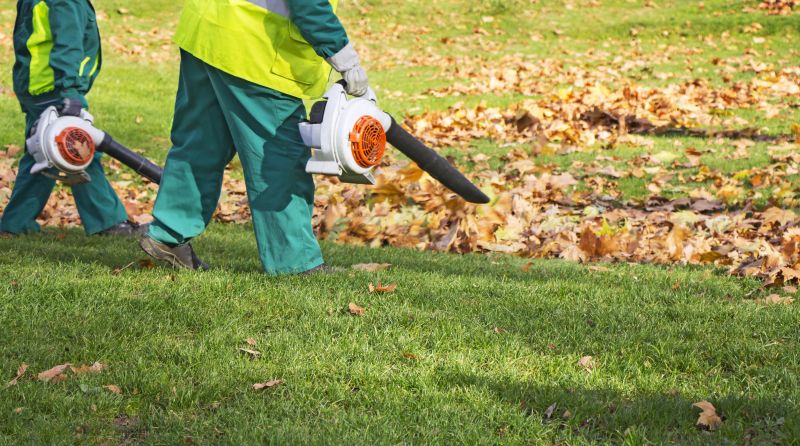 Leaf Blowing Services
